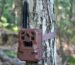 cellular trail camera